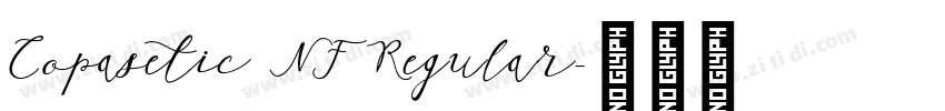 Copasetic NF Regular字体转换